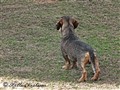 2010 04 16_9094 kopiera.jpg